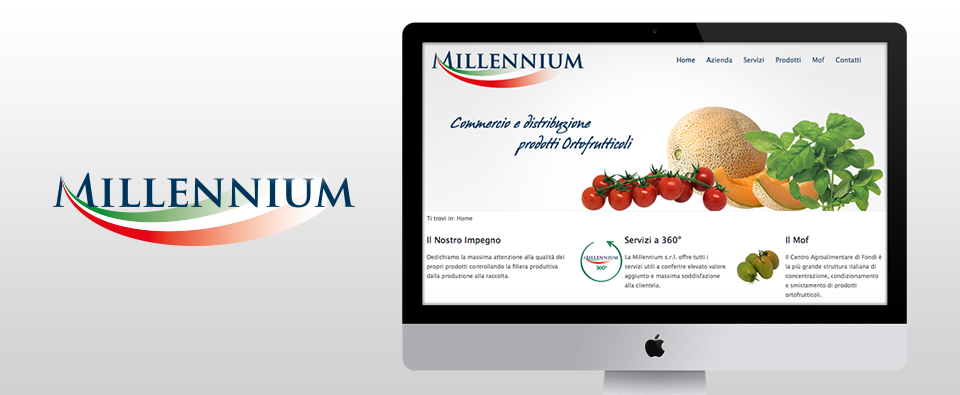 Millennium srl